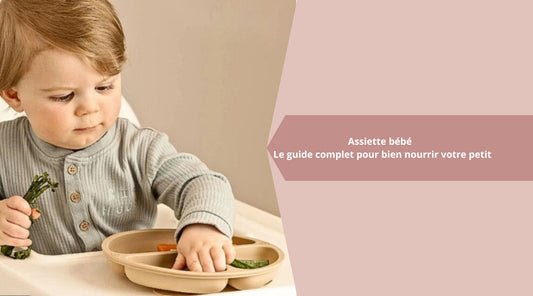 Assiette bébé : Le guide complet pour bien nourrir votre petit